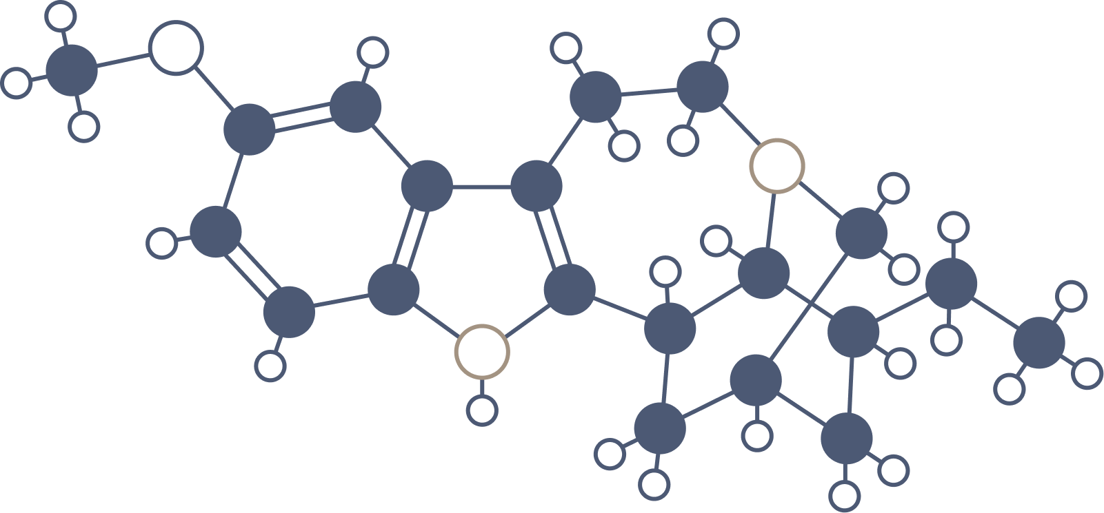 Ibogaine Molecule
